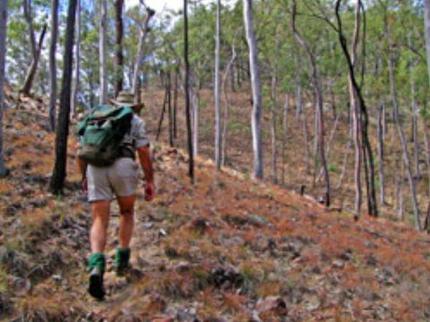 Shepherd's Peak Trail - Accommodation 4U 0