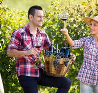 Two Tails Wines - Accommodation 4U