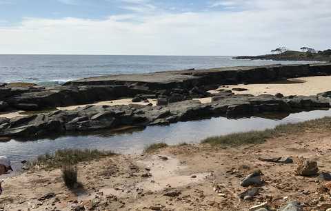 Yamba Tours And Charters - Accommodation 4U 0