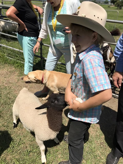 Yamba Tours And Charters - Accommodation 4U 2