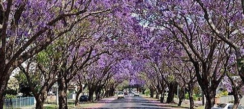 Yamba Tours And Charters - Accommodation 4U 6