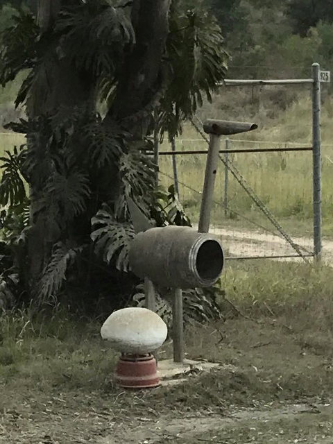 Yamba Tours And Charters - Accommodation 4U 7