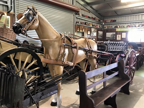 Yamba Tours And Charters - Accommodation 4U 9