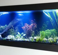 Aquariums in Cairns - Accommodation 4U