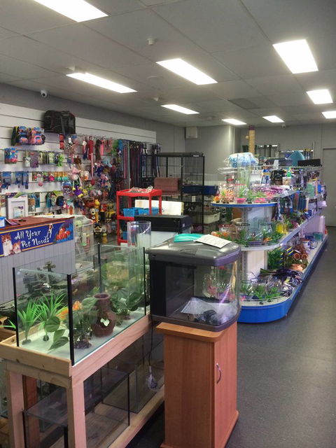 Nambour Pet Shop - Accommodation 4U 0