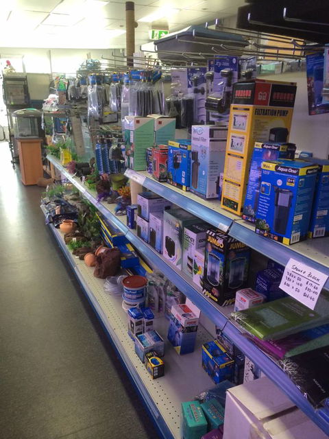 Nambour Pet Shop - Accommodation 4U 2