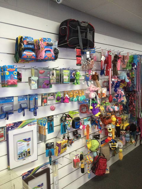 Nambour Pet Shop - Accommodation 4U 3