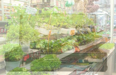 Dapto Markets - Accommodation 4U 2