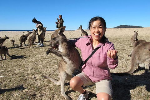 Batemans Bay Full-Day Tour From Canberra Including Indigenous Experience - Accommodation 4U 0