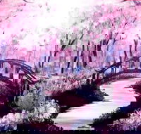 Pink Forest - Boardwalk Bar 4.00-6.00pm - Accommodation 4U