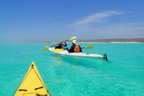 Lagoon Explorer - Ningaloo Reef Full-Day Kayaking And Snorkeling Adventure - Accommodation 4U 7