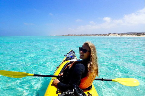 Lagoon Explorer - Ningaloo Reef Full-Day Kayaking And Snorkeling Adventure - Accommodation 4U 2
