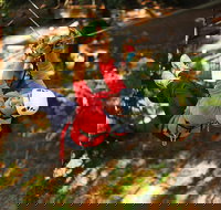 Trees Adventure Lane Poole Park - Treetop  Zipline Experience - Accommodation 4U