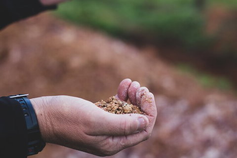 Vasse Felix Epicurean Tour And Tasting Experience With 5 Course Lunch - Accommodation 4U 8