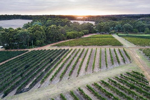 Vasse Felix Epicurean Tour And Tasting Experience With 5 Course Lunch - Accommodation 4U 7