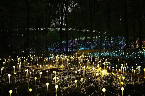 National Anzac Centre Field Of Light Panorama Pass - Accommodation 4U 0