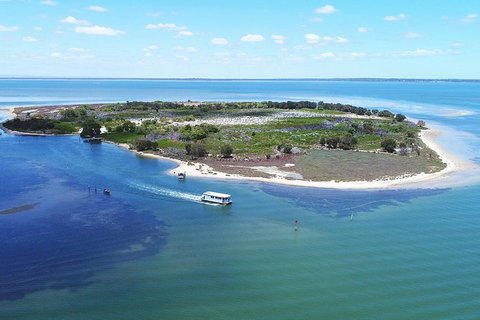 Mandurah Dolphin Island Adventure - Accommodation 4U 8