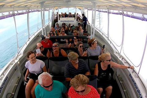 Mandurah Dolphin Island Adventure - Accommodation 4U 12