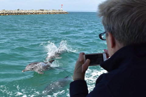 Mandurah Dolphin Island Adventure - Accommodation 4U 2