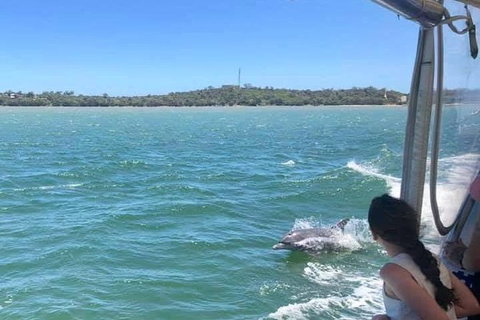 Mandurah Dolphin Island Adventure - Accommodation 4U 9