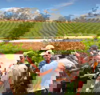 Yarra Valley Wine and Winery Tour from Melbourne - Accommodation 4U