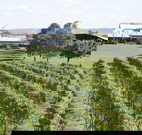 Puffing Billy Train and Yarra Valley Food and Wine Day Trip from Melbourne - Accommodation 4U