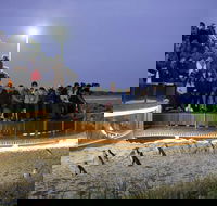 Small-Group Phillip Island Day Trip from Melbourne with Penguin Plus Viewing - Accommodation 4U