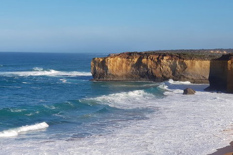 12 Apostles And Otway Fly Zipline Day Trip From Melbourne - Accommodation 4U 7