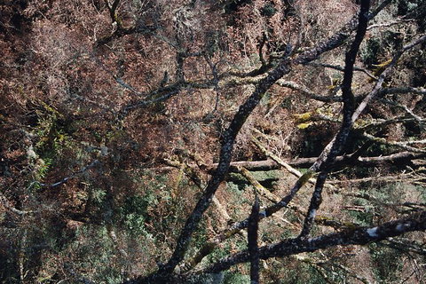 12 Apostles And Otway Fly Zipline Day Trip From Melbourne - Accommodation 4U 11