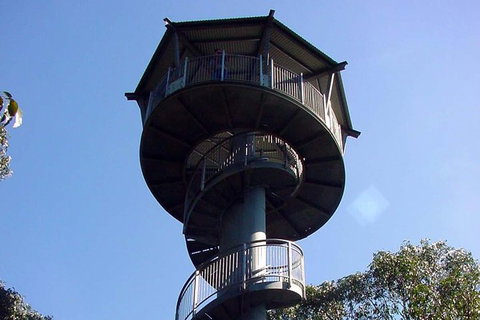 12 Apostles And Otway Fly Zipline Day Trip From Melbourne - Accommodation 4U 5