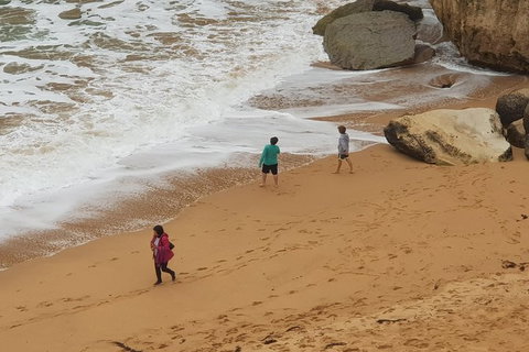 12 Apostles And Otway Fly Zipline Day Trip From Melbourne - Accommodation 4U 14