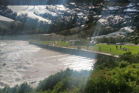 12 Apostles And Otway Fly Zipline Day Trip From Melbourne - Accommodation 4U 16