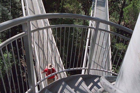 12 Apostles And Otway Fly Zipline Day Trip From Melbourne - Accommodation 4U 4