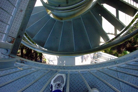 12 Apostles And Otway Fly Zipline Day Trip From Melbourne - Accommodation 4U 12