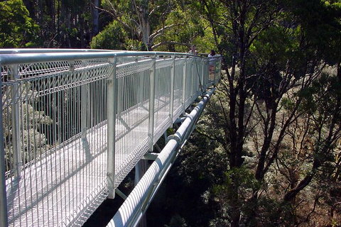 12 Apostles And Otway Fly Zipline Day Trip From Melbourne - Accommodation 4U 3