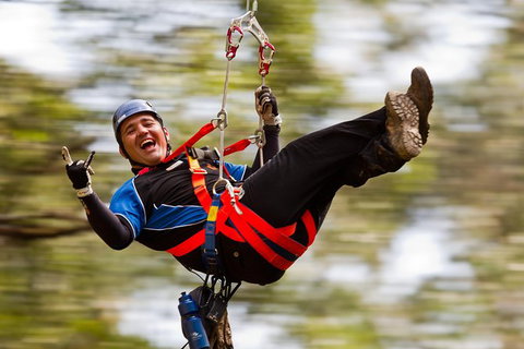 12 Apostles And Otway Fly Zipline Day Trip From Melbourne - Accommodation 4U 2
