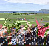 Alternative Yarra Valley Wine Tasting Tour Departing from Melbourne - Accommodation 4U