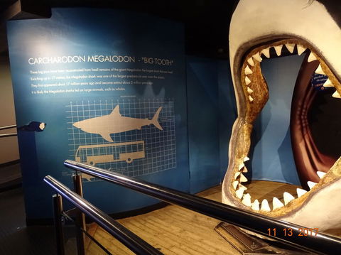 SEA LIFE Melbourne Aquarium Admission Ticket - Accommodation 4U 10
