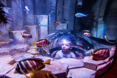 SEA LIFE Melbourne Aquarium Admission Ticket - Accommodation 4U 0