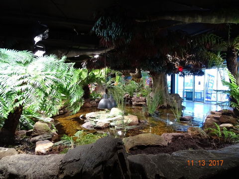 SEA LIFE Melbourne Aquarium Admission Ticket - Accommodation 4U 2