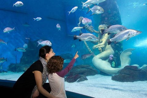 SEA LIFE Melbourne Aquarium Admission Ticket - Accommodation 4U 14