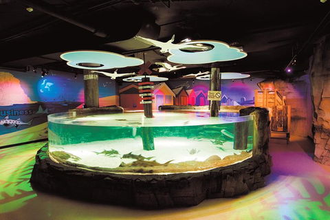 SEA LIFE Melbourne Aquarium Admission Ticket - Accommodation 4U 27