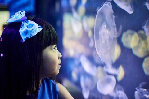 SEA LIFE Melbourne Aquarium Admission Ticket - Accommodation 4U 17