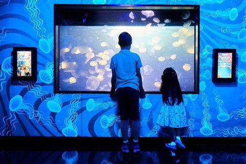 SEA LIFE Melbourne Aquarium Admission Ticket - Accommodation 4U 18