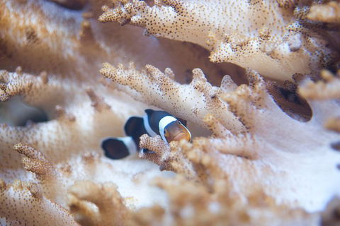 SEA LIFE Melbourne Aquarium Admission Ticket - Accommodation 4U 16