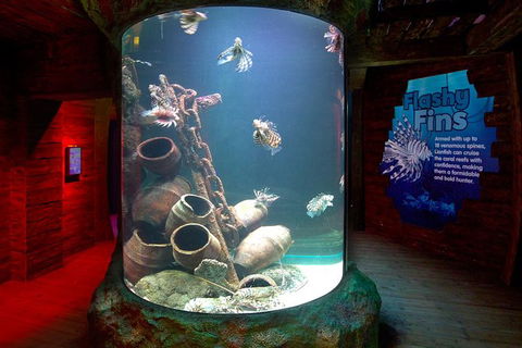 SEA LIFE Melbourne Aquarium Admission Ticket - Accommodation 4U 23