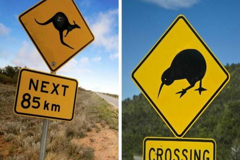 Aroha Tangata Australia And New Zealand 20 Day - Accommodation 4U 0