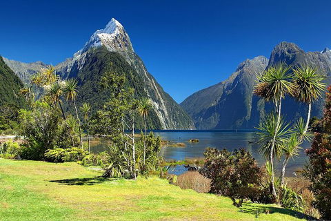 Aroha Tangata Australia And New Zealand 20 Day - Accommodation 4U 1