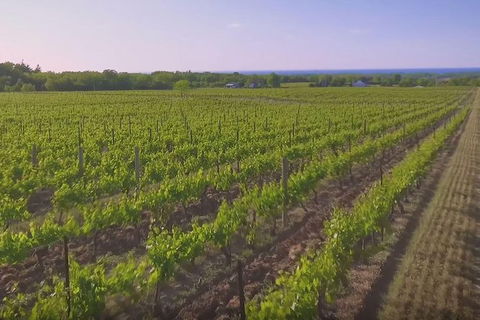 Macedon Ranges Small Group Wine Tour With 2 Course Lunch And Morning Tea - Accommodation 4U 1