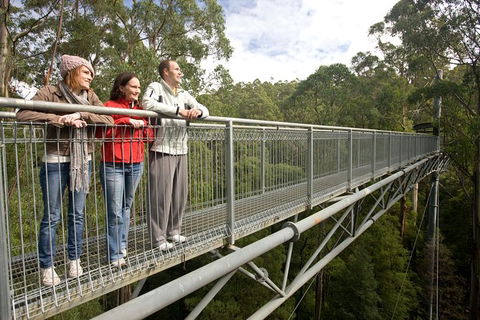 Adventure Sunset Three Day Great Ocean Road Tour - Accommodation 4U 14